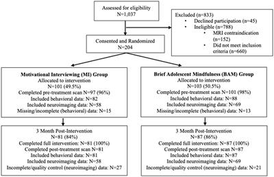 Adolescent: provider connectedness and STI risk reduction following a brief alcohol intervention: findings from a randomized controlled trial